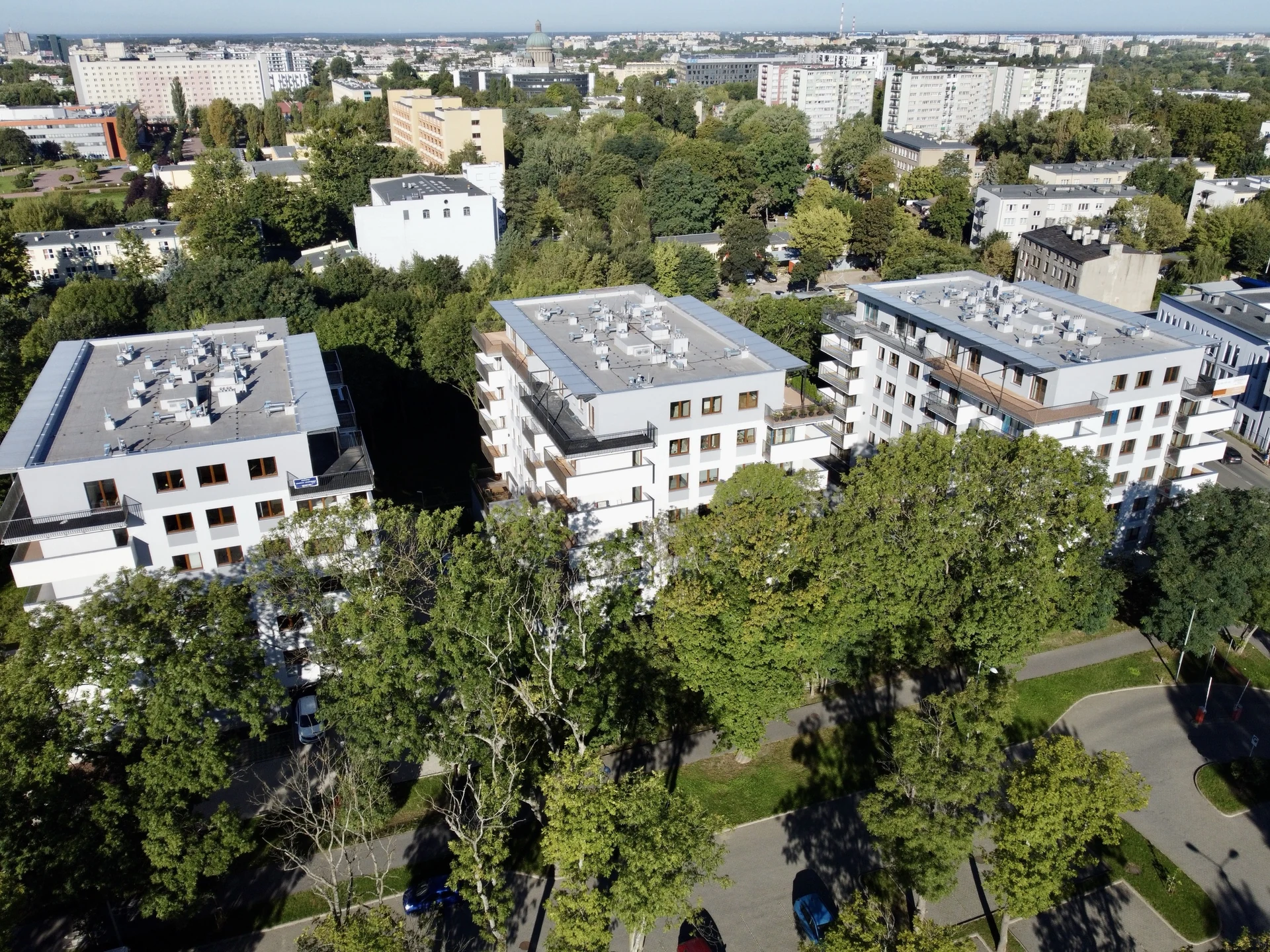 PZFD Łódź o nas
