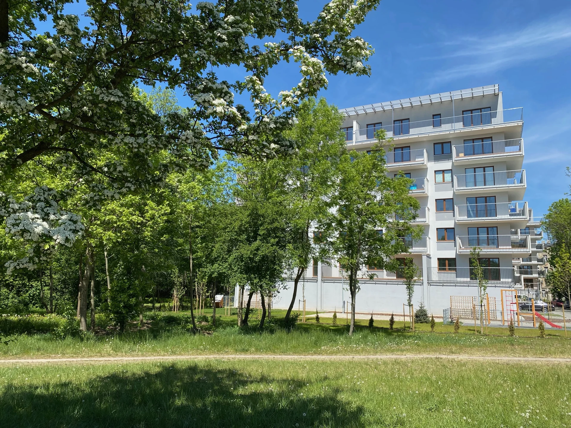 Finał akcji Zielone Uniwersum