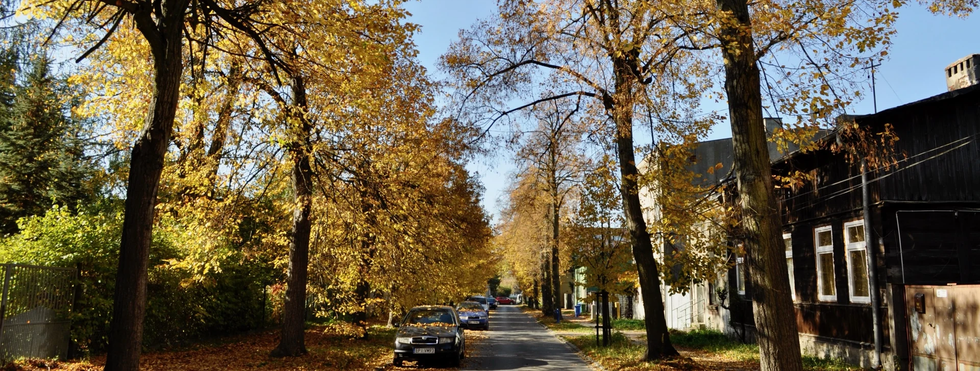 Aktualności z budowy