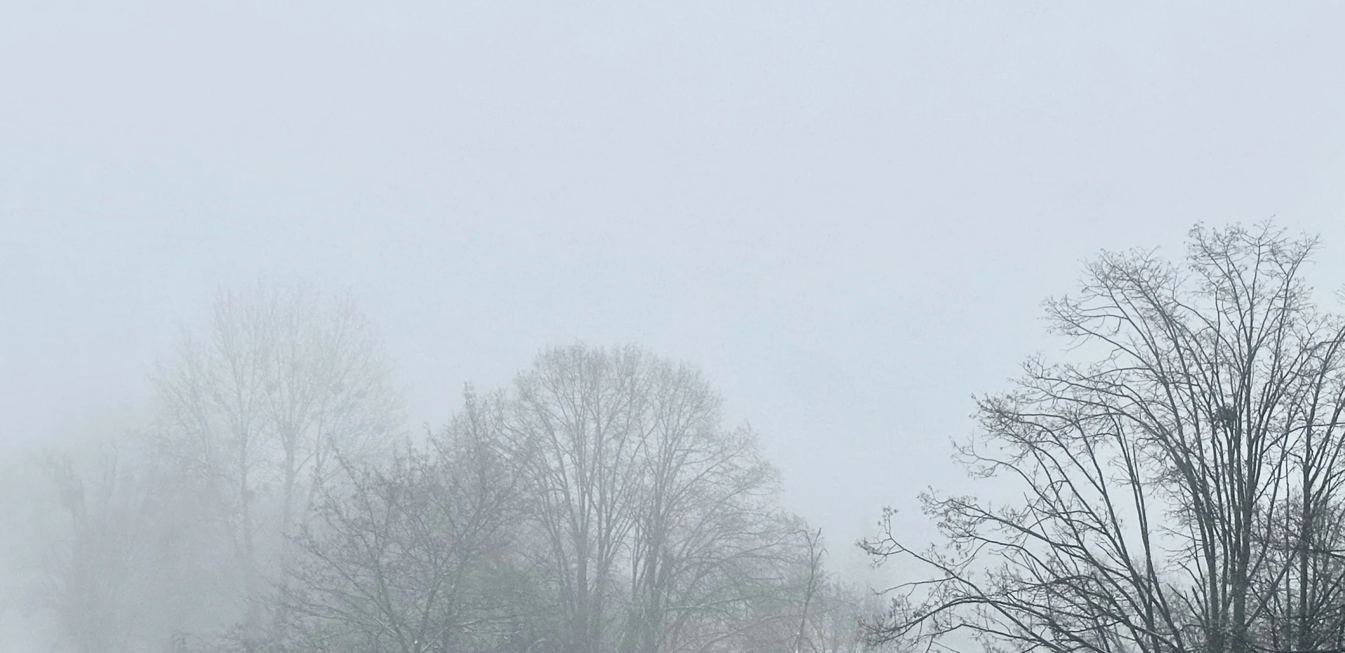 Piątkowe aktualizacje